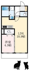 ジーメゾン初芝ルクシア（ホームズ用）の物件間取画像